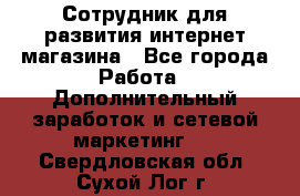 Сотрудник для развития интернет-магазина - Все города Работа » Дополнительный заработок и сетевой маркетинг   . Свердловская обл.,Сухой Лог г.